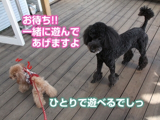 20140118_03.jpg