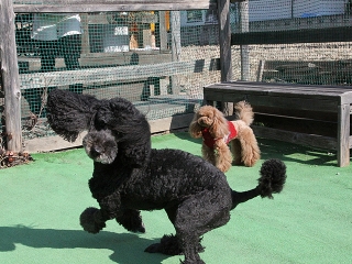 20140118_05.jpg