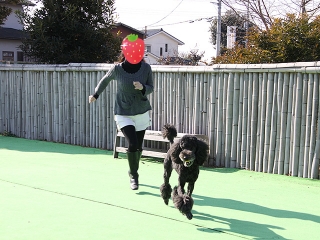 20140118_06.jpg