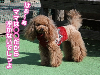 20140118_07.jpg