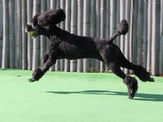20140118_08.jpg