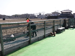 20140118_11.jpg