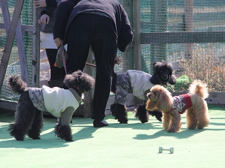 20140118_12.jpg