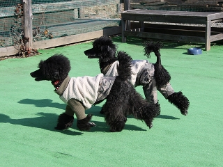 20140118_14.jpg