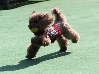 20140118_15.jpg