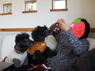 20140118_17.jpg