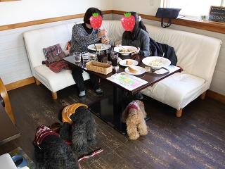 20140118_21.jpg