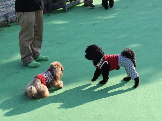 20140118_22.jpg