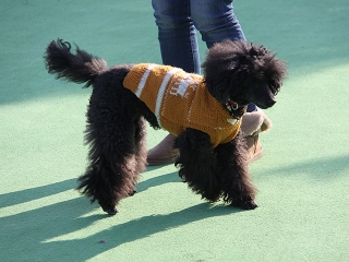 20140118_23.jpg