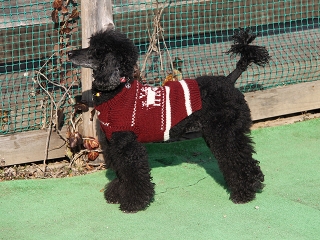 20140118_24.jpg