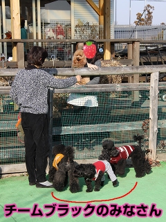 20140118_25.jpg