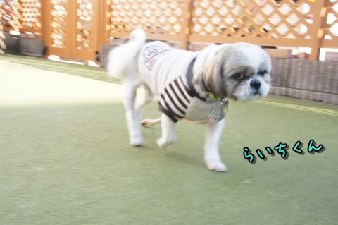 0046DSC08944.jpg