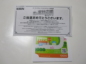 プリカ