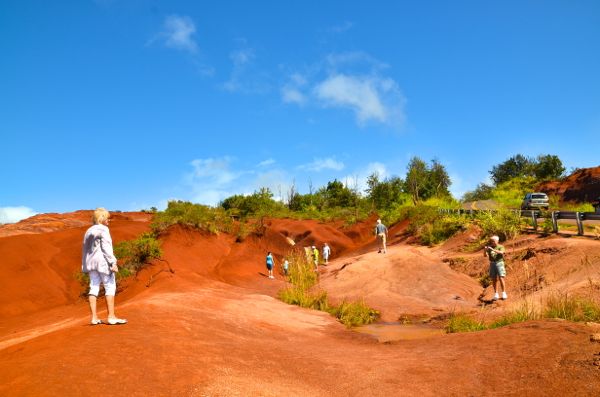 DSC_3935.jpg