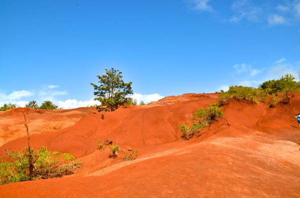 DSC_3936.jpg