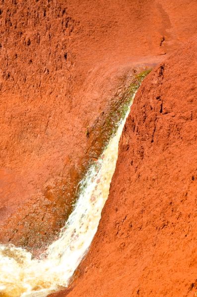 DSC_3955.jpg