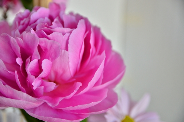 DSC_5435s.jpg