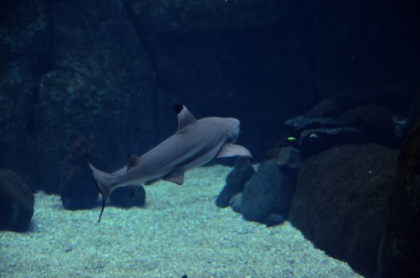 DSC_5705.jpg