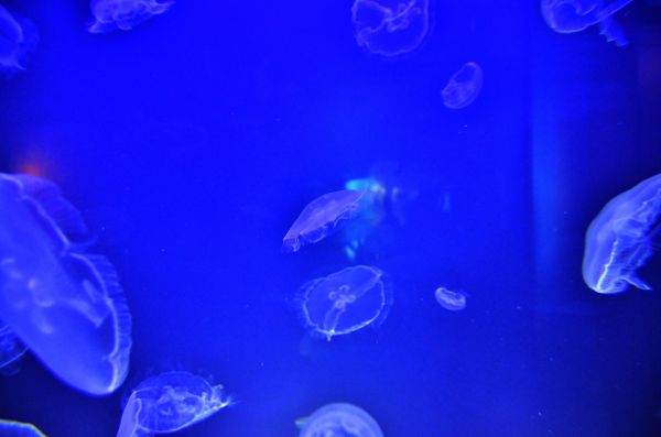 DSC_5707.jpg