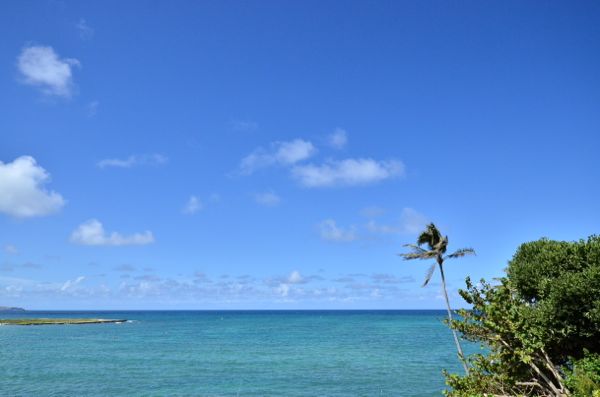 DSC_5978.jpg