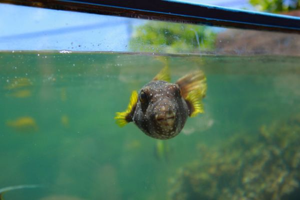 IMG_7684.jpg