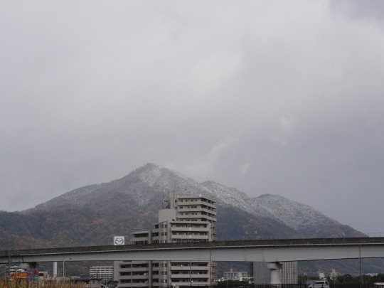 s_121206.jpg