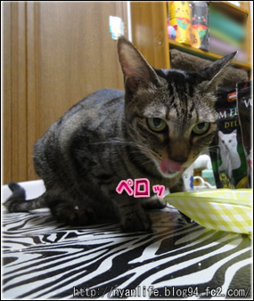 20120810-2.jpg