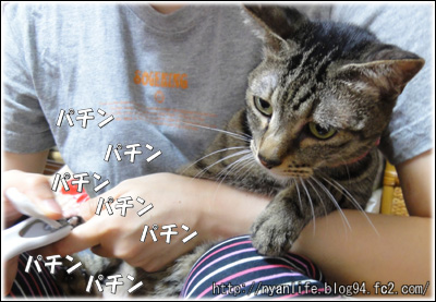 20120810-5.jpg