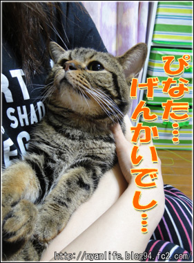 20120812-2.jpg