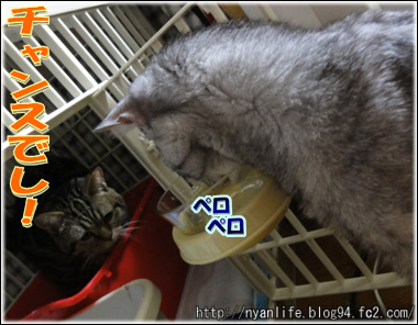 20120821-1.jpg
