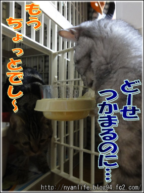 20120821-2.jpg