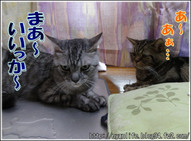 20120823-4.jpg