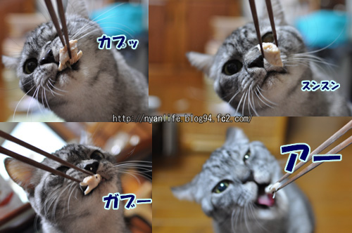 20121110-1.jpg