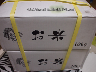 20121121-1.jpg