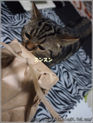 20121121-2.jpg