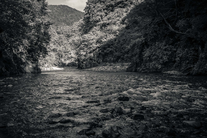 胎内川