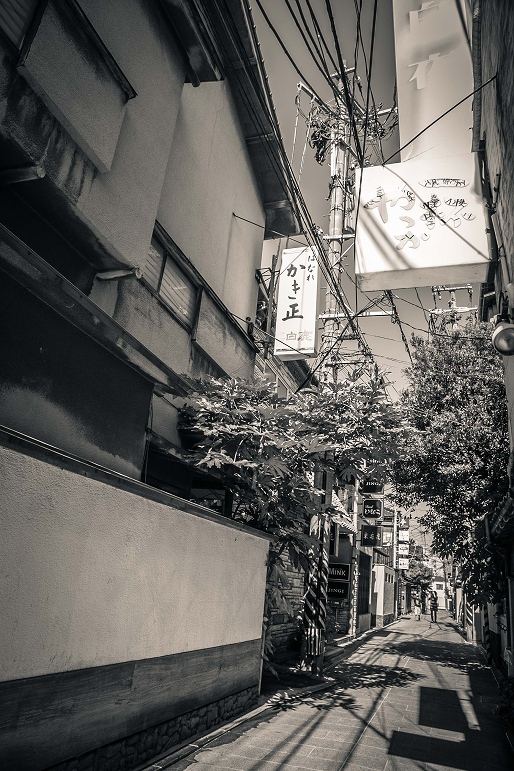 古町9の東新道