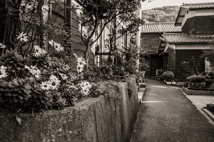 寝屋に咲く花