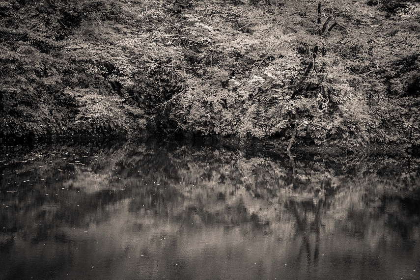 ダム湖紅葉風景