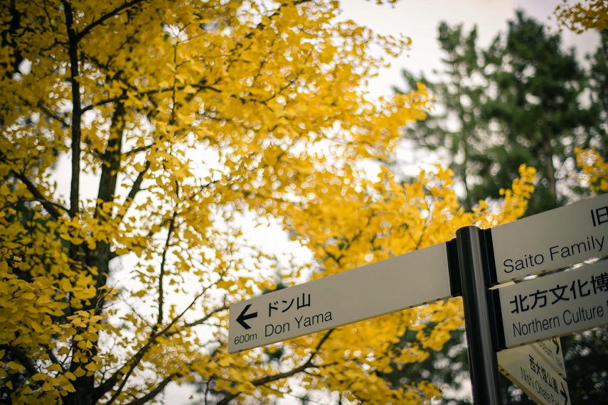 公園の道しるべ