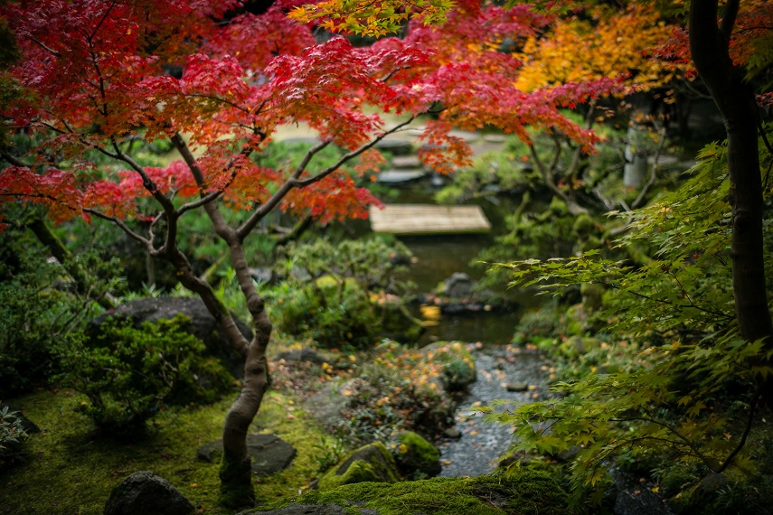 旧斎藤家別邸庭園