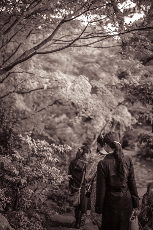 和の紅葉