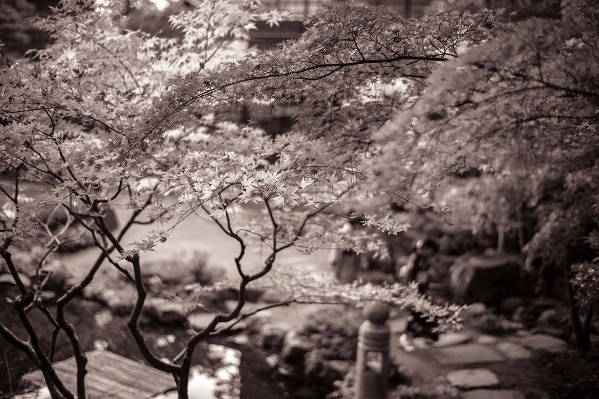 庭園風景