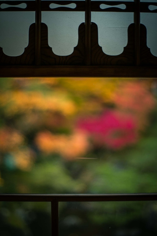 窓越しの紅葉