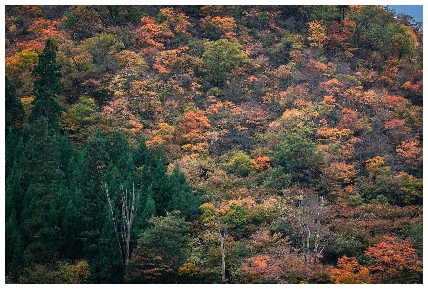 胎内の山の紅葉風景