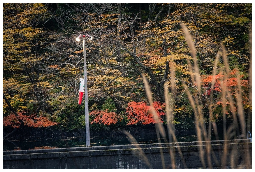 胎内第二ダム