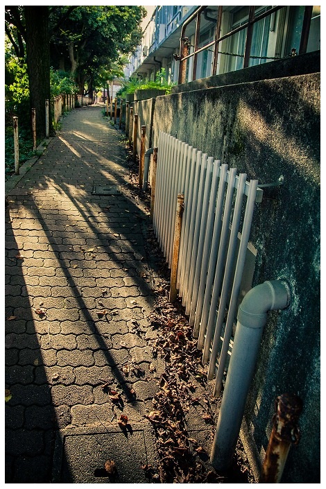 風景、小さい秋を感じる時