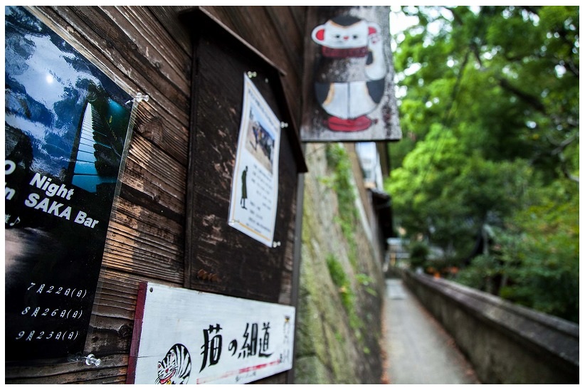 猫の細道