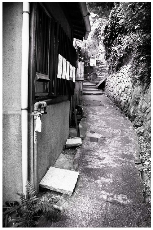 尾道 猫の細道 艮神社裏