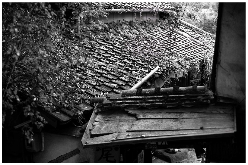 monochrome 猫の細道の屋根
